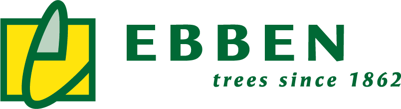 Ebben
